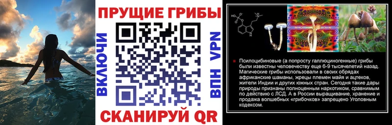 Галлюциногенные грибы GOLDEN TEACHER  закладки  kraken маркетплейс  Красный Кут 